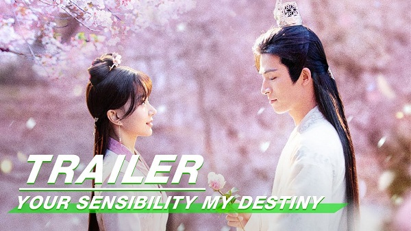 Download Drama China Your Sensibility My Destiny Sub indo