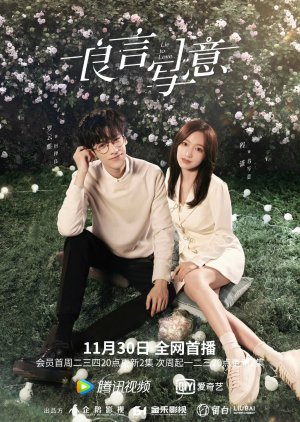 Download Drama China Lie to Love Subtitle Indonesia