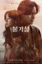 Download Drama Korea Bulgasal Immortal Souls Subtitle Indonesia